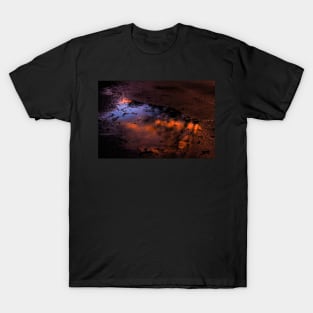 Reflection T-Shirt